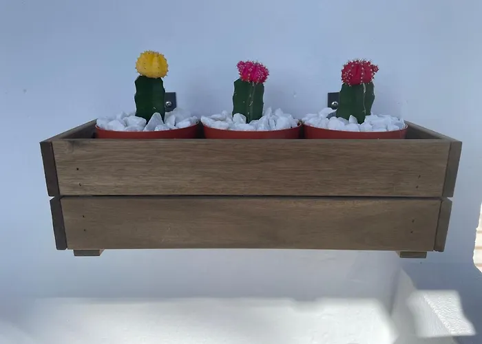 El Paraiso De Kayla